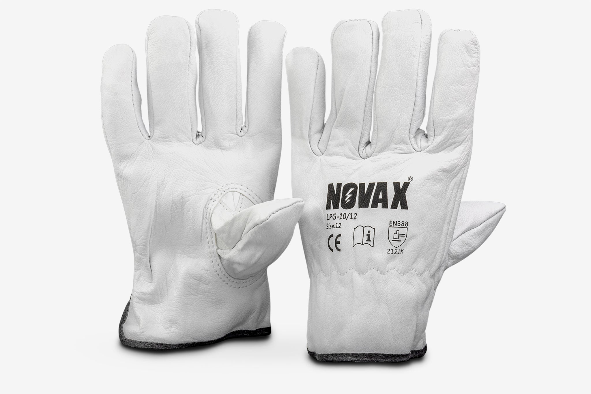 Voltbuddy GXEVSL01 - 12 EV Maintenance and Safety - Service Parts Online